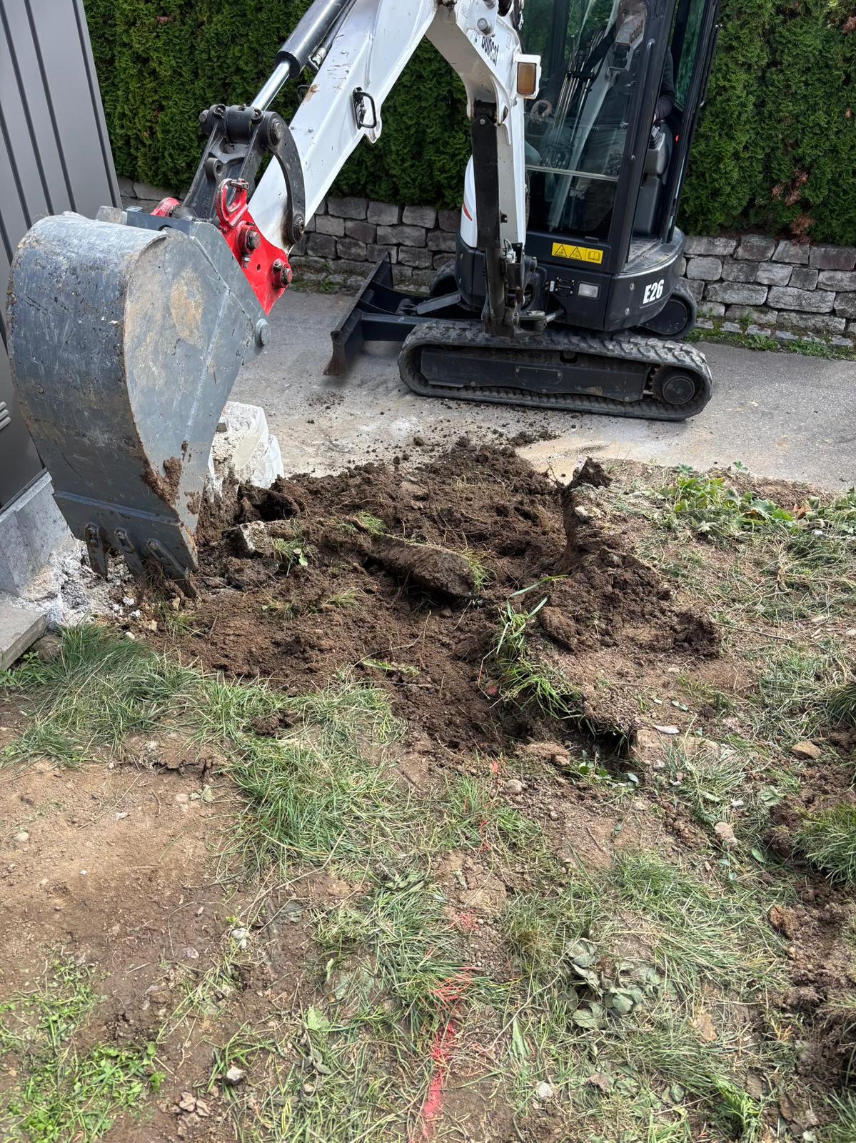 project gallery voher 10