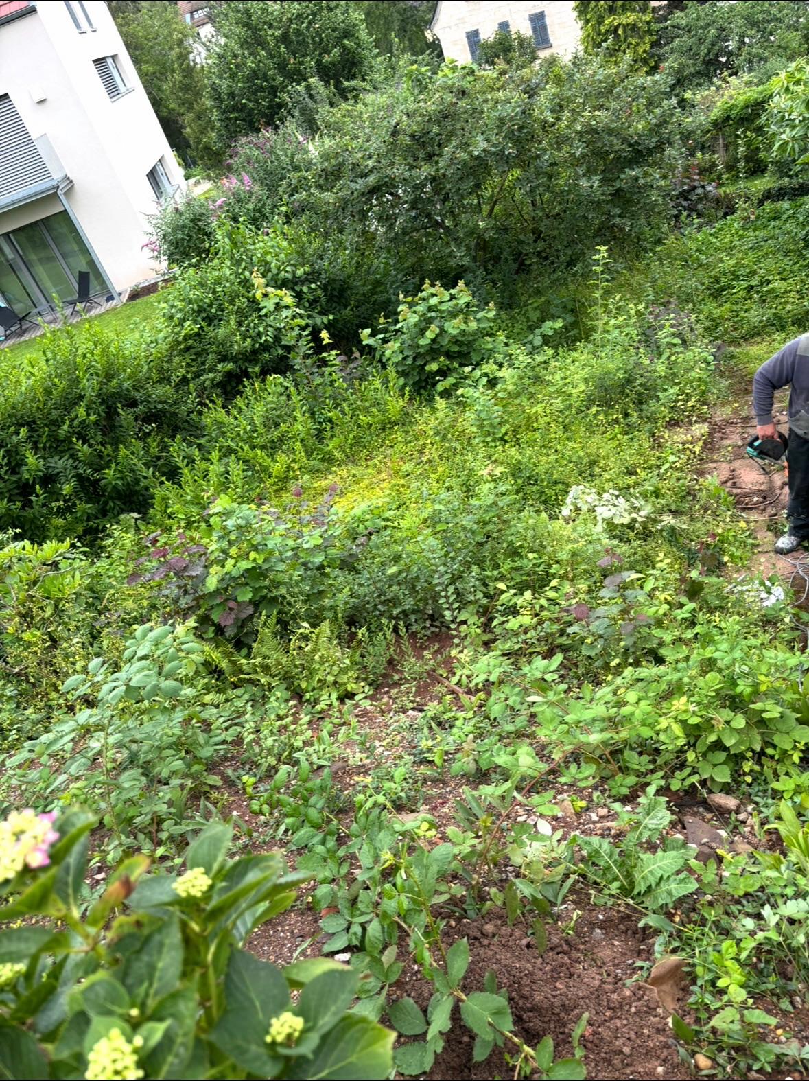 project gallery voher 14